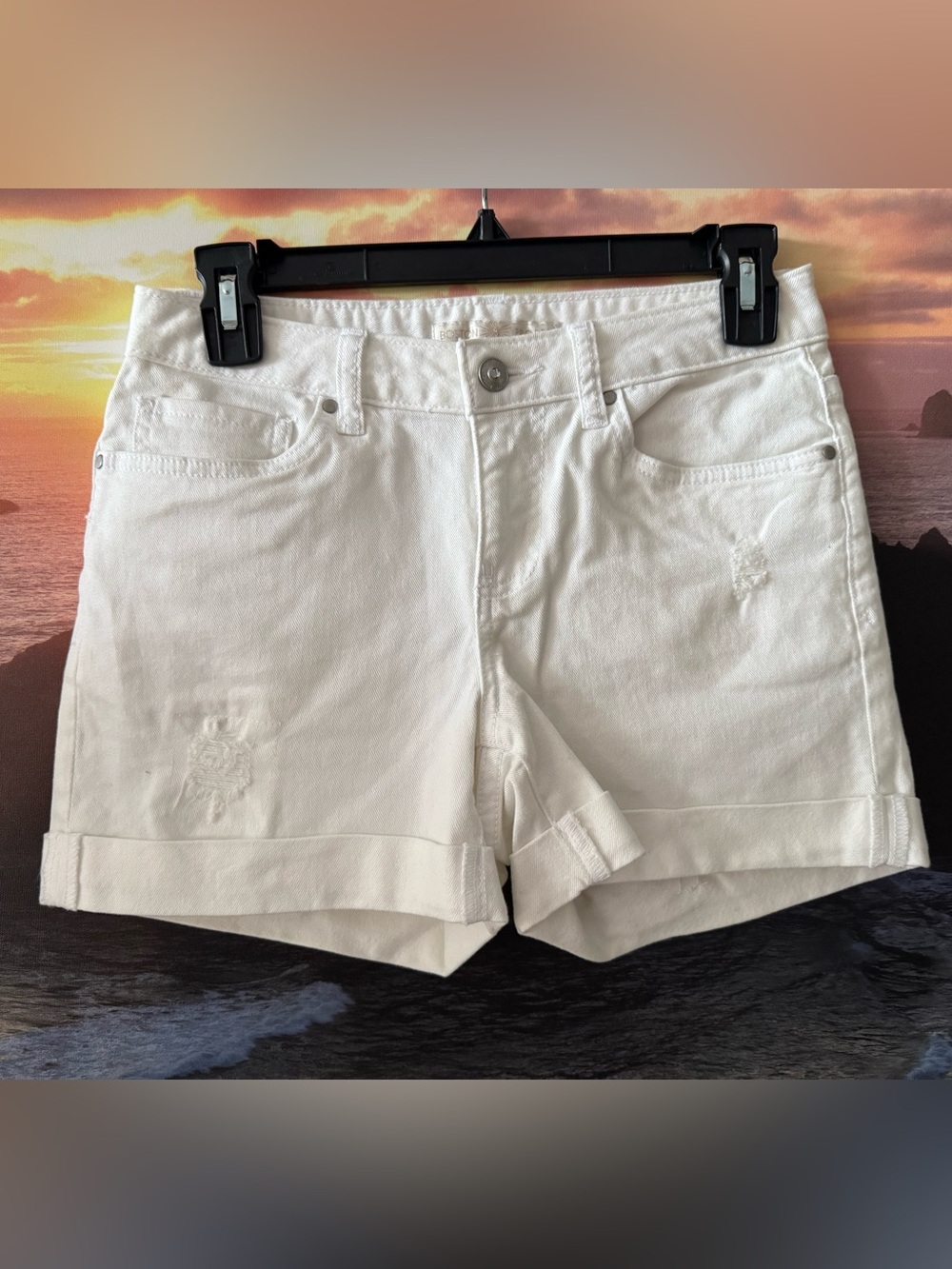 Boston Proper White Cuffed Denim Shorts/ 2/ New